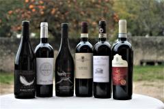 CANTINETTA DA 6 VINI: "ROSSI DA COLLEZIONE"