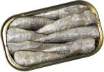 Sardine in Olio d'Oliva